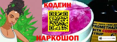 крисы Гагарин