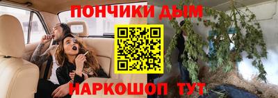 крисы Гагарин