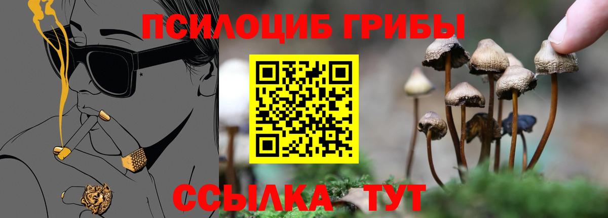 Галлюциногенные грибы Psilocybe  Вход с VPN  Жуковский 